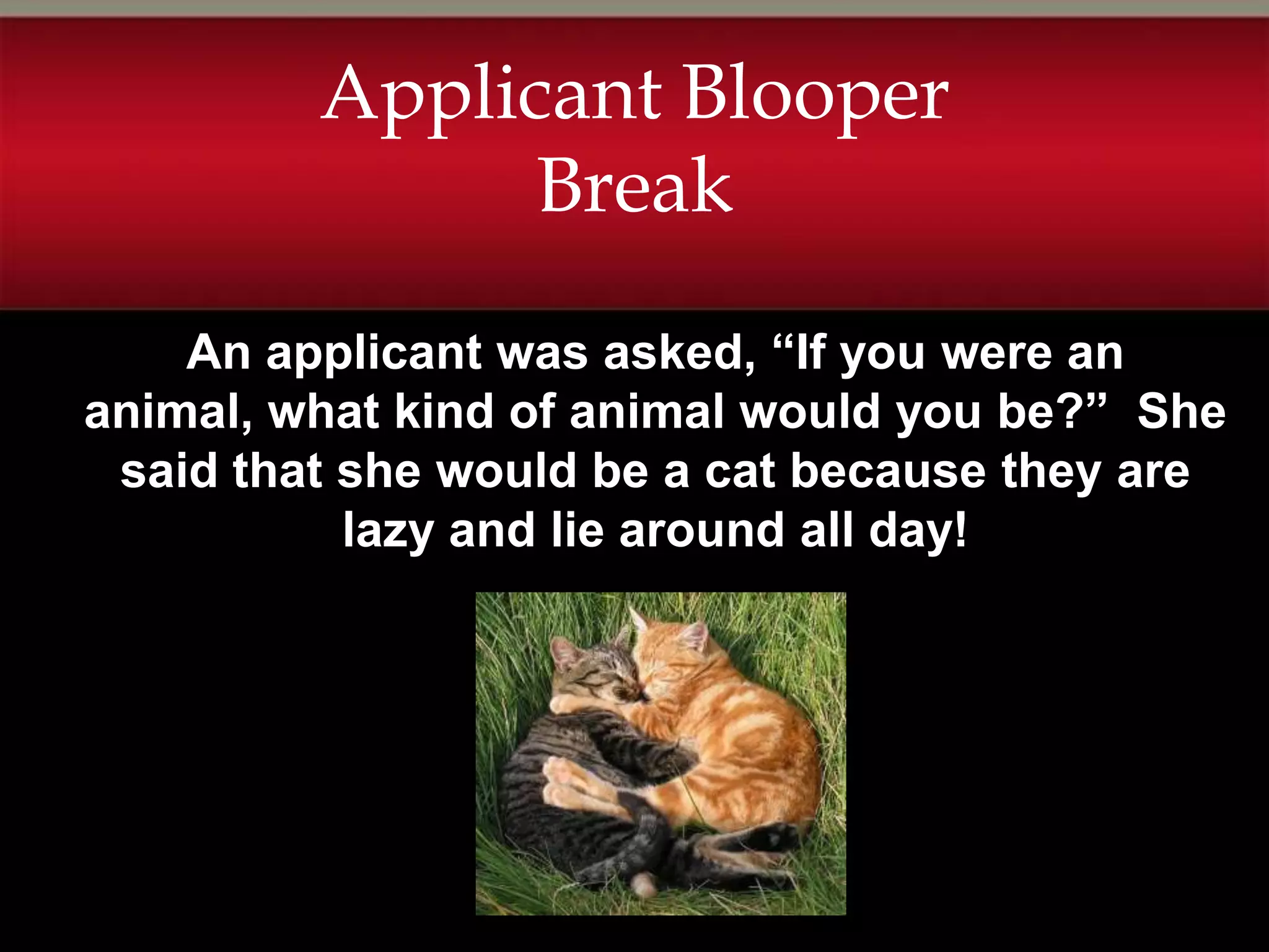 Applicant Blooper
               Break

    An applicant was asked, “If you were an
animal, what kind of animal would you be?” She
 said that she would be a cat because they are
           lazy and lie around all day!
 