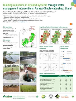 About ICRISAT: www.icrisat.org
ICRISAT’s scientific information: http://EXPLOREit.icrisat.org
Aug 2019
Building resilience in dryland systems through water
management interventions: Parasai-Sindh watershed, Jhansi
Site description
Location: Babina Block, Jhansi, UP
Geographical area = 1246 ha
Number of households (HHs)= 417
Major crops:
▪▪ Kharif: Black gram and groundnut
▪▪ Rabi: Wheat, chickpea and mustard
Project period: 2012 - 2016
Interventions
Water harvesting
Rejuvenation of traditional water body
Rainwater harvesting structures
Agroforestry interventions
Productivity enhancing interventions
Capacity building
Kaushal K Garg1
*, Ramesh Singh2
, KH Anantha1
, Inder Dev2
, Anand K Singh1
, RK Tewari2
,
Venkata Radha Akuraju1
, Suhas P Wani3
, SK Dhyani2
and Sreenath Dixit1
1
ICRISAT Development Center, International Crops Research Institute for the Semi-Arid Tropics,
Patancheru, 502 324, Hyderabad, Telangana, India
2
ICAR-Central Agroforestry Research Institute, Jhansi, Uttar Pradesh, India
3
Former Research Program Director-Asia, ICRISAT, Hyderabad, Telangana, India
* Corresponding author email: K.Garg@cigar.org
Rainfall = Surface runoff + Groundwater
recharge + ET + Change in soil moisture
Details
Before
interventions
After
interventions Difference
Kharif area under cultivation (ha) 968 1057 89
Net income generated in kharif (in ₹ Lakh) 138 203 65
Rabi area under cultivation (ha) 797 1083 286
Net income generated in rabi (in ₹ Lakh) -26 185 211
Net income from agriculture (in ₹ Lakh) 112 388 276
Buffalo population 950 1300 350
Milk yield (L/day/animal) 6 8.5 2.5
Net income from livestock (in ₹ Lakh) 102 212 110
Total net income (in ₹ Lakh/year) 214 600 386
Number of HHs 417 417 -
Average increase in income (in ₹ Lakh/HH/year) 0.51 1.43 0.92
Impact on household income
Impact on crop
intensification
Crop intensification with increased water resources
Impact on water balance
components
 