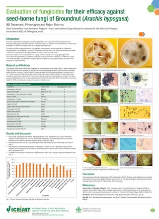 About ICRISAT: www.icrisat.org
ICRISAT’s scientific information: http://EXPLOREit.icrisat.org
Nov 2019
Evaluation of fungicides for their efficacy against
seed-borne fungi of Groundnut (Arachis hypogaea)
BD Devamani, P Humayun and Rajan Sharma
Plant Quarantine Unit, Research Program - Asia, International Crops Research Institute for the Semi-Arid Tropics,
Patancheru-502324, Telangana, India
Table 1. Details of fungicides tested.
Fungicides Trade name Dosage(g/kg of seeds
Carbendazim 50% WP Bavistin 3
Mancozeb 75%WP Dithane M - 45 3
Carbendazim 12%+ Mancozeb 63%WP Saaf 3
Thiram 75 WP Thiram 3
Carbendazim +Thiram 1:1 ratio 3
Tebuconazole 50%+Trifloxystrobin 25%WG Nativo 0.5
Captan 50% WP Captaf 3
Captan 70%+ Hexaconazole 5% WP Taqat 2
Tricyclazole 75% WP Beam 2
Tebuconazole 2% DS Raxil 1.5
Metalaxyl 35% WS Metal 2
Metalaxyl 4%+ Mancozeb 64% WP Ridomilgold 2
Tridemefon 25% WP Bayleton 2
Chlorothalonil 75%WP Kavach 2
Myclobutanil 10% WP Index 2
Dimethomorph 50% WP Acrobat 2
Thiophanate methyl 70% WP Roko 2
Fig. 2. Seed germination in treated and untreated groundnut seed.
Introduction
Groundnut germplasm exchange has played a significant role in crop improvement programmes by
providing wide genetic diversity world over. However, there is an inherent risk of introduction of new exotic
pathogens or new/more virulent races of a pathogen into new areas.
The basic principle of plant quarantine is to regulate the movement of seed material to mitigate the
associated pest risk. Salvaging, a process of disinfecting infected seed, is an important quarantine strategy
to prevent the introduction of new pathogens or virulent races into new areas.
Groundnut seed is known to be infected by a large number of seed-borne fungal pathogens that
necessitates the identification of effective fungicides for seed treatment. Therefore, an effort was made
to evaluate the efficacy of different fungicides against seed-borne fungi of groundnut to select the best
fungicide for seed treatment.
Material and Methods
The Infected seeds were treated with fungicides to eradicate seed borne fungi (Table 1). Seeds treated with
different fungicides were assayed for seed borne fungi by employing standard blotter method; untreated
seeds served as a control. The Petri plates containing treated and untreated seeds were incubated at 22
±2 °C under near ultra violet (NUV) light with 12h alternate cycles of light and dark for seven days. After
incubation, seeds were examined for the presence of fungi under stereo-binocular microscope. The fungi
were identified based on the morphological characters (Ellis, 1971; Barnett, 1972; Ahmed KM and Ravinder
Reddy Ch 1993) and data were expressed as percent infected seed.
Results and discussion
▪▪ Seven fungi, Aspergillus niger (89%), Aspergillus flavus (17%), Aspergillus spp. (9.5%), Penicillium
notatum (7.5%), Rhizopus sp. (35.5%), Rhizoctonia bataticola (11.5%) and Fusarium sp. (4%) were
detected in the infected groundnut seeds in control plates (Fig 2 & 3).
▪▪ Seed treatment with Saaf @ 3 g/kg seed significantly reduced (96%) seed borne fungi over control
(Fig 1).
▪▪ The presently recommended fungicide, carbendazim + thiram (1:1) @ 3 g/kg seed, being used for
salvaging the infected groundnut seeds recorded 94 percent reduction over control followed by Nativo
@ 0.5 g/kg seed (92%).
▪▪ In addition to reduction in seed borne fungal infection, there was increase in seed germination as well
(Fig. 2).
Treated Untreated
Conclusion
Seed treatment with Saaf (Carbendazim 12% + Mancozeb 63%WP) @ 3 g/kg seed could be recommended
to eliminate the seed borne fungal infection in groundnut for the safe exchange of seed material as well as
cleaning of groundnut seed for regeneration for conservation.
References
Ahmed KM and Ravinder Reddy Ch. 1993. A pictorial guide to the identification of seedborne fungi of
sorghum, pearl millet, finger millet, chickpea, and groundnut. Information Bulletin no.34. Patancheru. AP
502324, India: International Crops Research Institute for the Semi-Arid Tropics 200pp. ISBN 92-9066-251-4.
Burnett HL. 1972. Illustrated genera of Imperfect Fungi. Burges Pub Com., Minnesota, 213 pp.
Ellis MB. 1971. Dematiaceous hyphomycetes. Kew, Surrey, England: Commonwealth Mycological Institute.
608 pp.Fig. 1. Percent reduction of fungal infection by different fungicides.
Fig.3. Photomicrographs of groundnut seed borne fungi.
Percentreductionoffungal
infectionovercontrol
Fungicides
Growth and sporulation of Aspergillus niger on seed
Growth and sporulation of Penicillium notatum on seed
Sclerotia of Rhizoctonia bataticola on seed
Growth and sporulation of Rhizopus sp. on seed
Growth and sporulation of Fusarium sp. on seed
Growth and sporulation of Aspergillus flavus on seed
Conidia and conidiophore of Penicillium notatum
Conidia of Macrophomina phaseolina
Sporangiophore and sporangiospores of Rhizopus sp.
Conidia and conidiophore of Aspergillus niger
Growth and sporulation of Aspergillus spp. on seed
Micro and macro conidia of Fusarium sp.
 