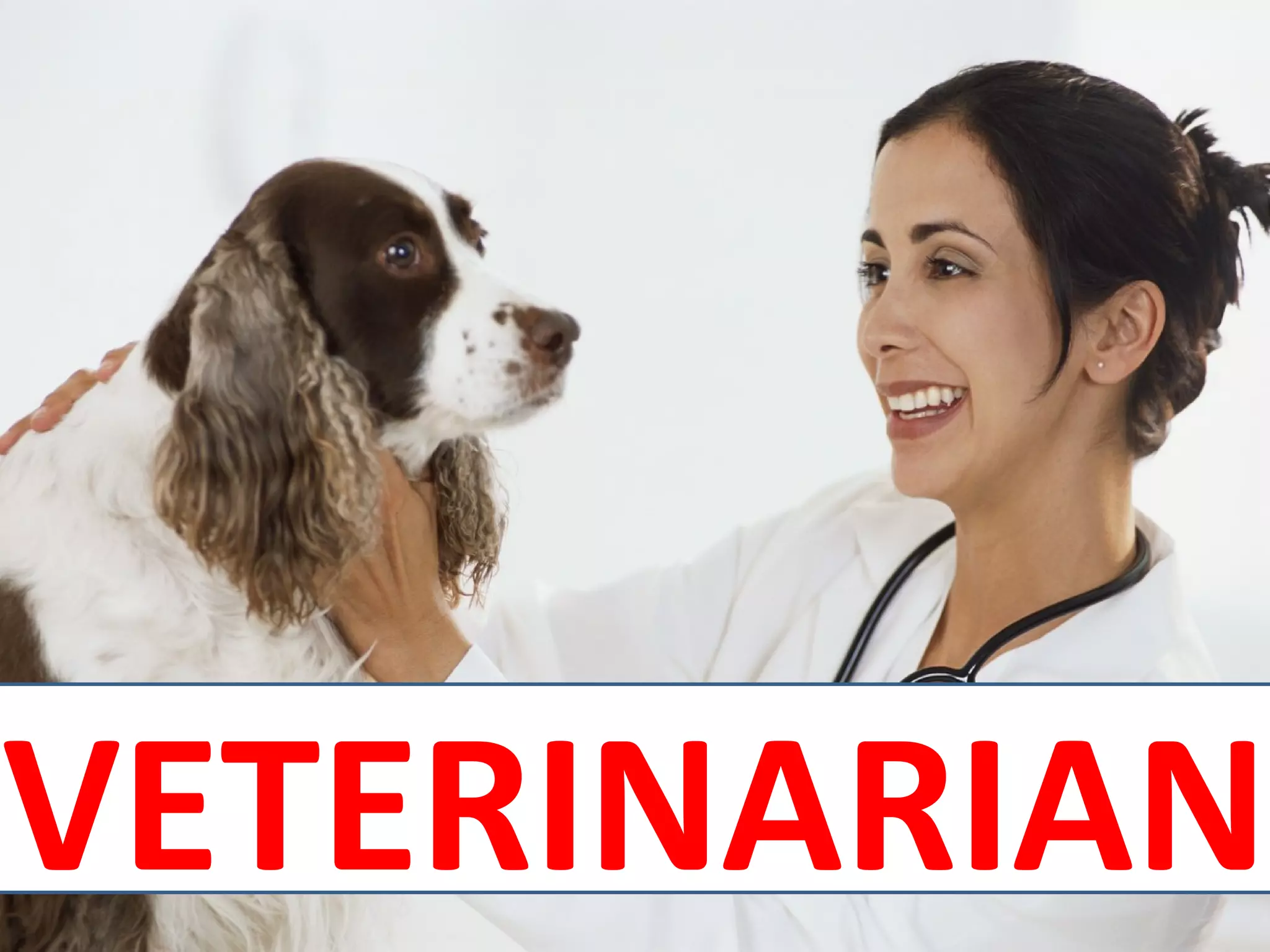 VETERINARIAN
 