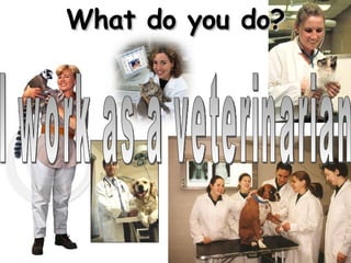 What do you do? I work as a veterinarian 