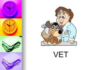 VET
 
