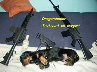Drogendealer Traficant de droguri  