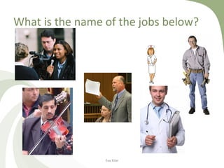 What is the name of the jobs below?
Eva Kilar