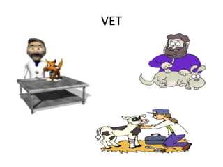 VET
 