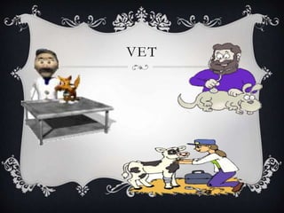 VET
 