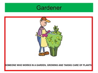 Gardener
SOMEONE WHO WORKS IN A GARDEN, GROWING AND TAKING CARE OF PLANTS
 