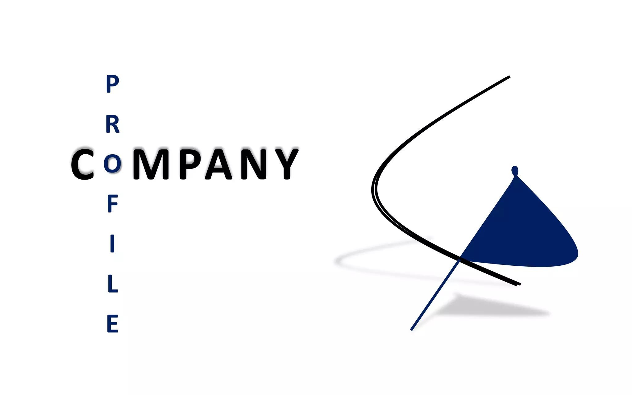 C MPANY
P
R
O
F
I
L
E
 