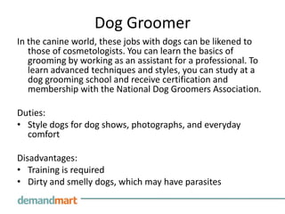 Dog GroomerIn the canine world, these jobs with dogs can be likened to those of cosmetologists. You can learn the basics of grooming by working as an assistant for a professional. To learn advanced techniques and styles, you can study at a dog grooming school and receive certification and membership with the National Dog Groomers Association. Duties:Style dogs for dog shows, photographs, and everyday comfort Disadvantages:Training is requiredDirty and smelly dogs, which may have parasites