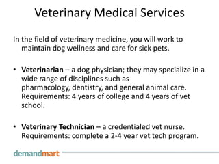 Veterinary Medical ServicesIn the field of veterinary medicine, you will work to maintain dog wellness and care for sick pets.Veterinarian – a dog physician; they may specialize in a wide range of disciplines such as pharmacology, dentistry, and general animal care. Requirements: 4 years of college and 4 years of vet school.Veterinary Technician – a credentialed vet nurse. Requirements: complete a 2-4 year vet tech program.