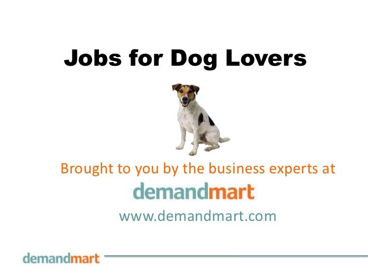 jobs for dog lovers