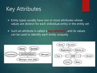 Key Attributes
 Entity types usually have one or more attributes whose
values are distinct for each individual entity in the entity set
 Such an attribute is called a key attribute, and its values
can be used to identify each entity uniquely
 