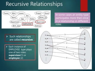 Recursive Relationships
EMPLOYEE
In some cases an entity type
participates more then once
in a relationship in different
roles
 Such relationships
are called recursive
 Each instance of
EMPLOYEE type plays
one of two roles:
supervisor(1) or
employee (2)
 