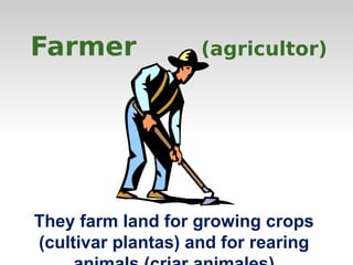Farmer (agricultor) 
They farm land for growing crops 
(cultivar plantas) and for rearing 
animals (criar animales) 
 