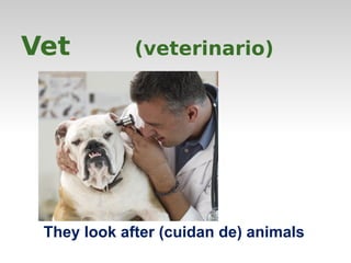 Vet (veterinario) 
They look after (cuidan de) animals 
 