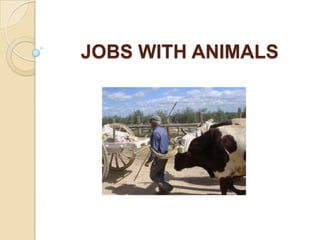 JOBS WITH ANIMALS
 