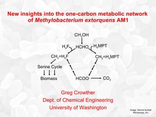 New insights into the one-carbon metabolic network  of  Methylobacterium extorquens  AM1 Greg Crowther Dept. of Chemical Engineering University of Washington Image: Dennis Kunkel  Microscopy, Inc. HCOO - CH 2 =H 4 F Serine Cycle CO 2 CH 2 =H 4 MPT H 4 MPT CH 3 OH HCHO H 4 F Biomass 