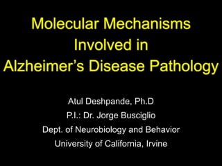 Molecular Mechanisms
         Involved in
Alzheimer’s Disease Pathology

           Atul Deshpande, Ph.D
           P.I.: Dr. Jorge Busciglio
     Dept. of Neurobiology and Behavior
        University of California, Irvine
 