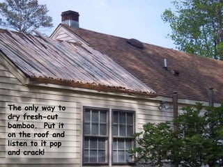 The only way to
dry fresh-cut
bamboo. Put it
on the roof and
listen to it pop
and crack!
 