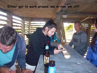 Either got to work around „em or run „em off!
 
