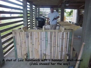 A shot of Lois‟ handiwork with a hammer. Well-done!
(Jobu showed her the way)
 