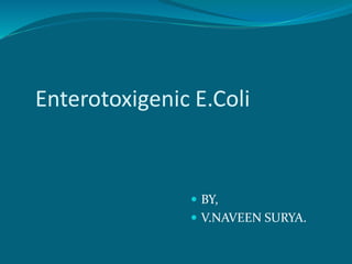 Enterotoxigenic E.Coli
 BY,
 V.NAVEEN SURYA.
 