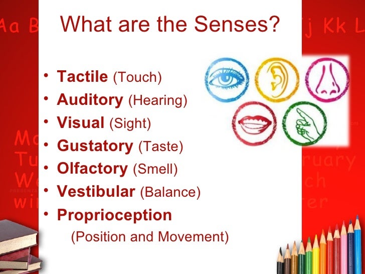 sensory integration presentation