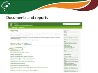 Communication and knowledge management in Africa RISING