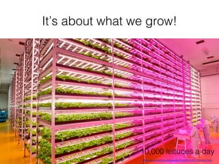 It’s about what we grow!!
16	
  
http://www.wired.co.uk/news/archive/2014-07/11/indoor-farm !
10,000 lettuces a day!
 