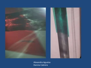 Alexandra Aguaisa
Dannia Cabrera
 