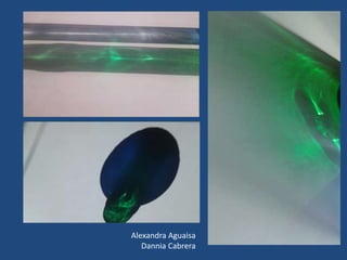 Alexandra Aguaisa
Dannia Cabrera
 