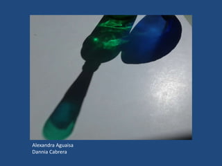 Alexandra Aguaisa
Dannia Cabrera
 