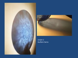 Junjie Li
Guillem Serra
 