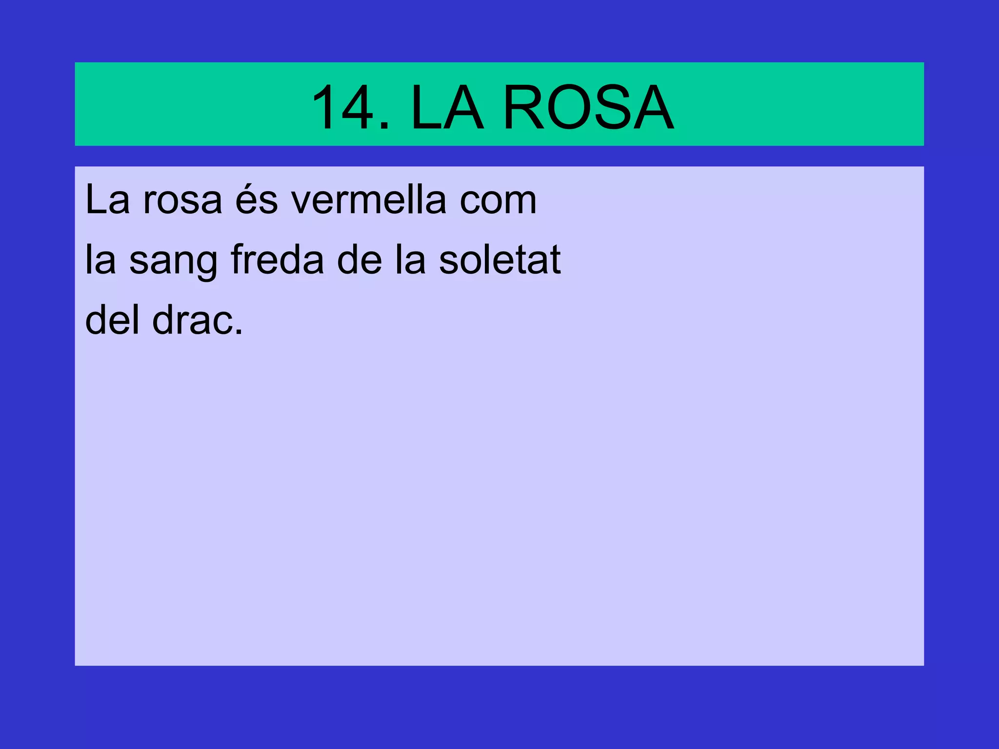 14. LA ROSA
La rosa és vermella com
la sang freda de la soletat
del drac.
 