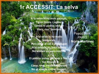 1r ACCÈSSIT: La selva
A la selva hi ha molt animals,
Tigres lleons i jaguars
També hi podràs trobar:
Llacs, rius i pantans
A la selva hi ha molts
temporals,
Pots estar al sol o aixoplugat
A la selva hi ha llocs infinits
No arribes als seus confins.
Et podràs trobar paranys o fins i
tot estanys
Corre, vine, t’estem esperant
No et quedis a casa reugant.
Pseudònim:
PARÍS
Núria Martínez
 