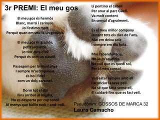 3r PREMI: El meu gos
El meu gos és hermós
Blanc, marró i carinyós.
Jo l’estimo molt
Perquè quan em veu fa un giravolt.
El meu gos és graciós,
petit i amistós.
Jo tinc cura d’ell
Perquè és com un clavell.
Passegem per la muntanya
I sempre m’acompanya,
és bo i fidel
com un dolç caramel.
Dorm tot el dia
Fins arribar al migdia,
No es desperta per cap soroll
Al menys que ballin rock – and- roll. Pseudònim: GOSSOS DE MARCA 32
Laura Camacho
Li pentino el cabell
Per anar al parc Güell.
Va molt content
En senyal d’agraïment.
És el meu millor company
Durant tots els dies de l’any.
Mai em deixa sola
I sempre em diu hola.
Mai l’abandonaria,
No se m’acudiria.
No vull que es quedi sol,
Per al meu consol.
Vull estar sempre amb ell
i acariciar la seva pell.
No sé que faria sense ell,
El cuidaré fins que es faci vell.
 