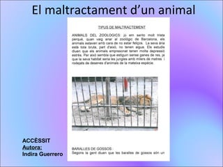 El maltractament d’un animal
ACCÈSSIT
Autora:
Indira Guerrero
 