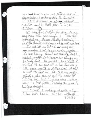 Jodi's last journal