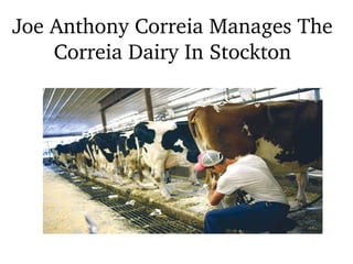 Joe Anthony Correia Manages The 
Correia Dairy In Stockton
 