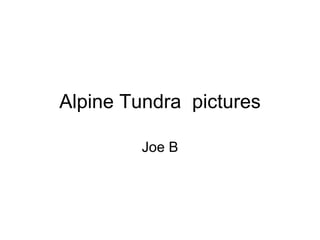 Alpine Tundra  pictures Joe B 