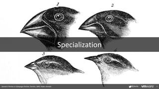 Specialization
7
Darwin's finches or Galapagos finches. Darwin, 1845. Public Domain @jbeda
 