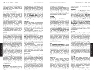 THEHILLCOUNTRY www.lonelyplanet.com
THEHILLCOUNTRY
www.lonelyplanet.com
one of Sri Lanka’s Cultural Triangle sites.
You can buy a Cultural Triangle round-trip
ticket at the office across the road from the
tourist office (p165).
BRITISH GARRISON CEMETERY
This cemetery (donation appreciated; h8am-5pm
Mon-Sat) is a short walk uphill behind the Na-
tional Museum. There are 163 graves and
probably 500 burials in total here, lovingly
cared for by the friends of the cemetery.
The amusing and friendly caretaker is more
than happy to show people around and pro-
vide information about many of the graves.
Some of the demises were due to sudden
sunstroke, or elephants, or jungle fever. The
Cargills of supermarket fame lie here. James
McGlashan survived the battle of Waterloo
but disregarded instructions given on mos-
quitoes, which ultimately proved deadlier.
The office, once the chapel of rest, has
pamphlets and the old cemetery records.
DEVALES
There are four Kandyan devales (complexes
for worshipping Hindu or local Sri Lankan
deities) to the gods who are followers of Bud-
dha and who protect Sri Lanka. Three of the
four devales stand close to the Temple of the
Sacred Tooth Relic. The 14th-century Natha
Devale is the oldest. It perches on a stone
terrace with a fine vahalkada (solid panel of
sculpture) gateway. Bodhi trees and dagobas
stand in the devale grounds, and there’s a fine
icon in the main shrine. Next to the Natha
Devale is the simple Pattini Devale, dedicated
to the goddess of chastity. The Vishnu Devale
on the other side of Raja Vidiya is reached by
carved steps and features a drumming hall.
Vishnu is the guardian of Sri Lanka and an
indicator of the intermingling of Hindu and
Buddhist beliefs, since he is also one of the
three great Hindu gods.
The Kataragama Devale is a little way from
the others – a brightly painted tower gate-
way fights for attention with the bustle on
Kotugodelle Vidiya. Murugan, the god of
war (also called Skanda), appears here with
six heads, 12 hands wielding weapons, and
riding a peacock.
MONASTERIES
The principal viharas (Buddhist complexes)
in Kandy have considerable importance – the
high priests of the two best known, Malwatte
and Asgiriya, are the most important in Sri
Lanka. These temples are the headquarters of
two of the main Nikayas (orders of monks).
The head monks also play an important role
in the administration and operation of the
Temple of the Sacred Tooth Relic. The Mal-
watte Maha Vihara is directly across the lake
from the Temple of the Sacred Tooth Relic,
while the Asgiriya Maha Vihara is on the hill
off Wariyapola Sri Sumanga Mawatha to the
northwest of the town centre, and has a large
reclining Buddha image.
ELEPHANTS
Elephants can often be seen in and around
Kandy. Working elephants might be spotted
anywhere, and you may catch the Temple of
the Sacred Tooth Relic elephant chained up
along the lakeside near the temple. There
are elephants in the Riverside Elephant
Park (p191) as well.
From Kandy it’s a fairly easy trip to the
Pinnewala Elephant Orphanage (p162).
UDAWATTAKELLE SANCTUARY
North of the lake is this cool and pleasant
forest (adult/child under 12 Rs 600/300; h7am-5pm).
There are lots of huge trees, much bird- and
insect life and many monkeys, but visitors
are advised to be careful in this woodland if
they’re alone. Muggers are rare in Sri Lanka
but not unknown, and single women espe-
cially should take care.
Entry to the sanctuary is seriously over-
priced. You enter through the gate, which
you reach by turning right after the post
office on DS Senanayake Vidiya (there’s a
sign at the junction). There are clear paths,
but it’s worth paying attention to the map
at the entrance.
TEA MUSEUM
Thisrecentlyopenedmuseum(Mapp189;%070-
280 3204; admission Rs 250; h8.15am-4.45pm) occu-
pies the 1925-vintage Hanthana Tea Factory,
4km south of Kandy on the Hanthana road.
Abandoned for over a decade, it was refur-
bished as a museum by the Sri Lanka Tea
Board and the Planters’ Association of Sri
Lanka. In addition to a good collection of
19th-century rollers, dryers and other typi-
cal tea-factory equipment in their original
settings, the museum contains exhibits on
the lives and work of tea pioneers James
Taylor and Thomas Lipton.
UNIVERSITY OF PERADENIYA
Ten years after the 1842 founding of the Uni-
versity of Ceylon in Colombo, the bulk of the
university (Map p189) moved to Peradeniya,
8km south of Kandy. Today around 7800
students are typically enrolled at any given
time. The Mahaweli Ganga (Mahaweli River)
flows through the leafy green campus.
Activities
AYURVEDA
Wedamedura Ayurveda (%074 479484; www.ayurve
dawedamura.com; 7 Mahamaya Mawatha; 1hr massage
Rs 800, 2½hr full treatment Rs 4000), southeast of the
lake, is a fully licensed Ayurveda treatment
facility with both male and female masseurs.
Week-long residential packages, including
accommodation and food, are also available.
You could also splurge at the Ayurvedic
treatment centre at AmayaHills (Mapp189;%223
3521; amayahills@amayaresorts.com; Heerassagala; facial
Rs 1000, oil massage & steam bath Rs 2500). The body
oil massage and steam bath takes 1½ hours –
the bath is very hot. The 40-minute facial
treatment includes a massage, sandalwood/
turmeric mask and steam. Although Amaya
Hills (p193) is a bit far from town you can
relax around the pool after the treatment
with a drink, and make an afternoon (or
morning) of it. A three-wheeler from Kandy
should cost Rs 800 return.
GOLF
The Victoria Golf & Country Resort (%237 5570;
www.srilankagolf.com; green fees US$35, club hire Rs 1000,
caddy per round Rs 350) is 20km east of Kandy.
Surrounded on three sides by the Victoria
Reservoir and with the Knuckles Range as
a backdrop, it’s worth coming out here for
lunch at the clubhouse just to savour the
views. Claimed to be the best golf course
in the subcontinent, it’s a fairly challenging
18 holes.
MEDITATION
Visitors can learn or practise meditation
and study Buddhism at several places in
the Kandy area. Ask at the Buddhist Publica-
tion Society (%223 7283; www.bps.lk; 54 Sangharaja
Mawatha; h9am-4.30pm Mon-Fri, 9am-12.30pm Sat),
by the lake, for details about courses. Many
centres offer free courses but they’d obvi-
ously appreciate a donation. Give what
you’d normally be paying per day for food
and accommodation in Sri Lanka. For
details of some of the centres that offer
courses, see p192.
SWIMMING
South of Kandy lake, Hotel Suisse (%223 3024;
30 Sangaraja Mawatha; pool fee Rs 150) charges non-
guests to use the pool (towels included), lo-
cated in a garden. In the town, Queens Hotel
(%223 3290; Dalada Vidiya; pool fee Rs 150) also has
an OK pool and a pretty garden. There are
some stunningly positioned pools around
Kandy, including at: Hotel Thilanka (%223
2429; 3 Sanghamitta Mawatha; pool fee Rs 200) on a ter-
race looking down on the lake; Hotel Hilltop
(%222 4162; 200/21 Bahirawakanda; pool fee Rs 150);
Swiss Residence (%447 9054; 23 Bahirawakanda; pool
fee Rs 100), the least expensive in town; and
AmayaHills(%2233521;amayahills@amayaresorts.com;
Heerassagala; pool fee Rs 200), southwest of Kandy,
from whose terrace you get great views over
the countryside.
WALKING
There are many walks around the centre of
Kandy, such as up to the RoyalPalacePark (ad-
mission Rs 50; h8.30am-4.30pm), also constructed
by Sri Wickrama Rajasinha, overlooking the
lake. Further up the hill on Rajapihilla Ma-
watha there are even better views over the
lake, the town and the surrounding hills,
which disappear in a series of gentle ranges
stretching far into the distance. If you’re in
the mood for a longer walk there are also
a couple of paths, along from Rajapihilla
Mawatha, that head up into the hills.
Looming over Kandy, the huge concrete
Bahiravokanda Vihara Buddha Statue (admission
Rs 150) can be reached by walking 20 minutes
uphill from near the police station on Perad-
eniya Rd. Save your sweat and money – there
are no views from the top and the statue is
unremarkable.
Sleeping
Kandy has heaps of good guesthouses. In
the middle and top brackets there are some
lovely, luxurious houses and an increasing
number of good hotels. Many places are set
on the hills surrounding the town – in some
cases 3km or more from the centre – but
because of their outstanding locations and
views they are worth the effort to get there.
See p192 for details.
At the time of the Kandy Esala Perahera,
roompricesinKandycantrebleorquadruple;
168 THE HILL COUNTRY •• Kandy THE HILL COUNTRY •• Kandy 169
 