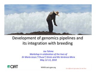 Development of genomics pipelines and 
     its integration with breeding
                        hb d
                          Joe Tohme
                          Joe Tohme
            Workshop in celebration of the lives of 
     Dr María Jesús ("Chusa") Ginés and Ms Verónica Mera
                       May 12 13, 2010 
                       May 12‐13 2010

                       WWW.ciat.cgiar.org
                                               Eco-Efficient Agriculture for the Poor
 