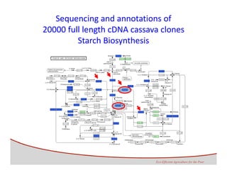 The Ginés‐Mera Fellowship Fund for Postgraduates Studies in Biodiversity