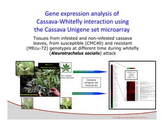 The Ginés‐Mera Fellowship Fund for Postgraduates Studies in Biodiversity