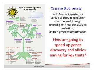 The Ginés‐Mera Fellowship Fund for Postgraduates Studies in Biodiversity