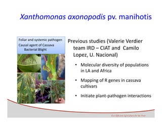 Development of genomics pipelines and its integration with breeding