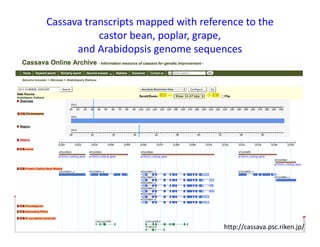 Development of genomics pipelines and its integration with breeding