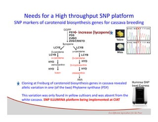 Development of genomics pipelines and its integration with breeding