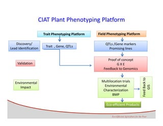 Development of genomics pipelines and its integration with breeding